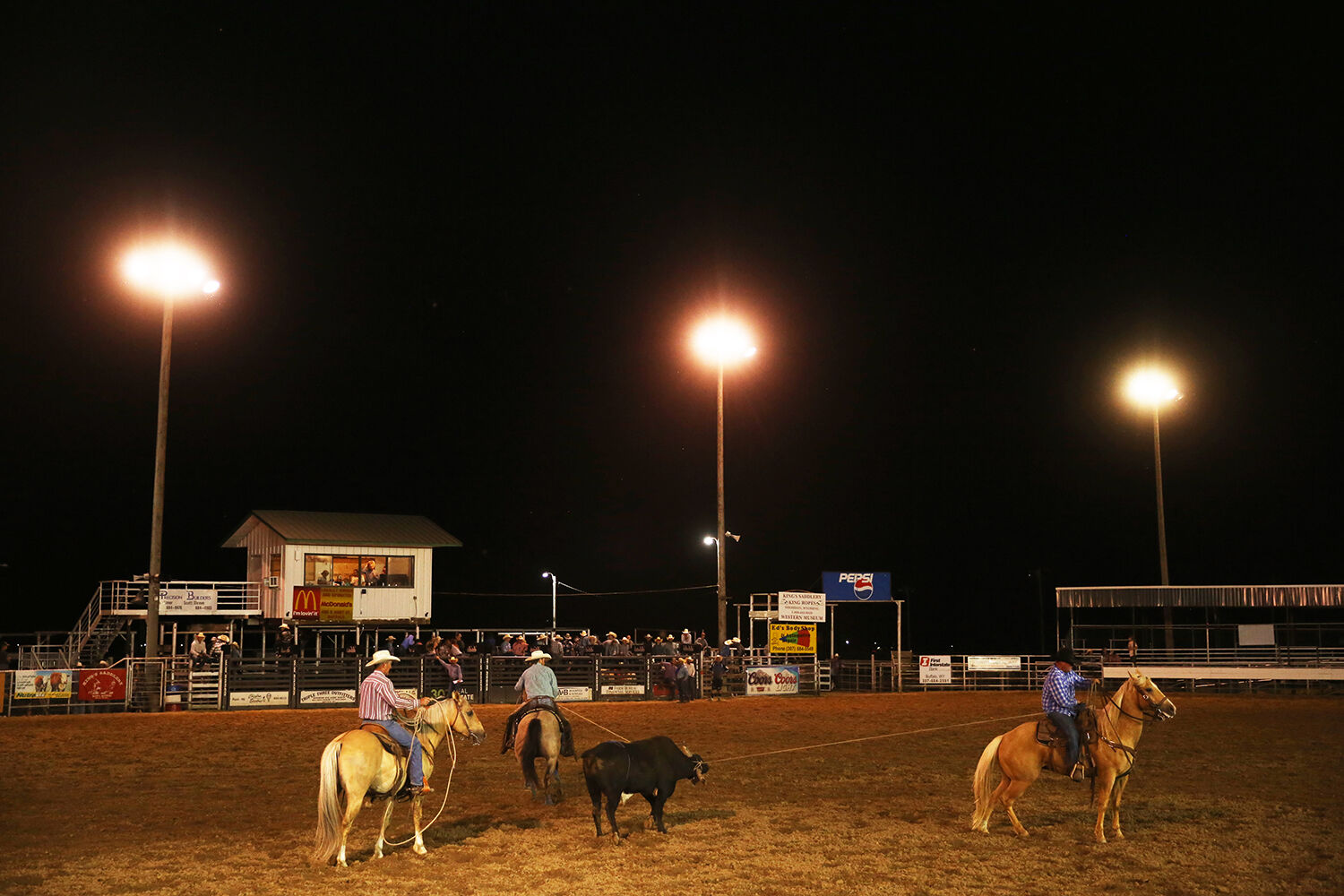 The pickup men circle around a bull as two of the three rope him